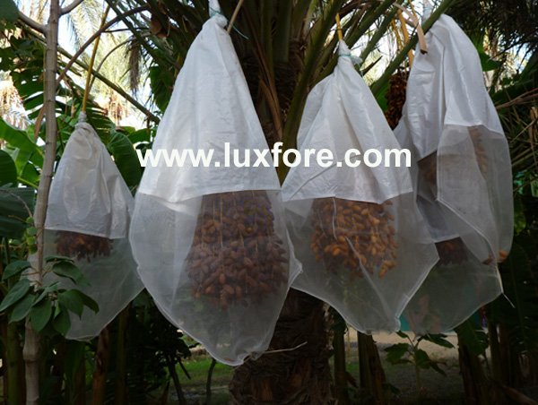 White Date Palms Cover Bags