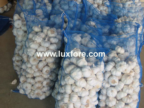 Plastic Mash Bag for Garlic