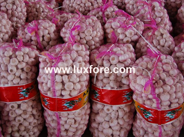 Pink Color Mesh Garlic Packing Bag